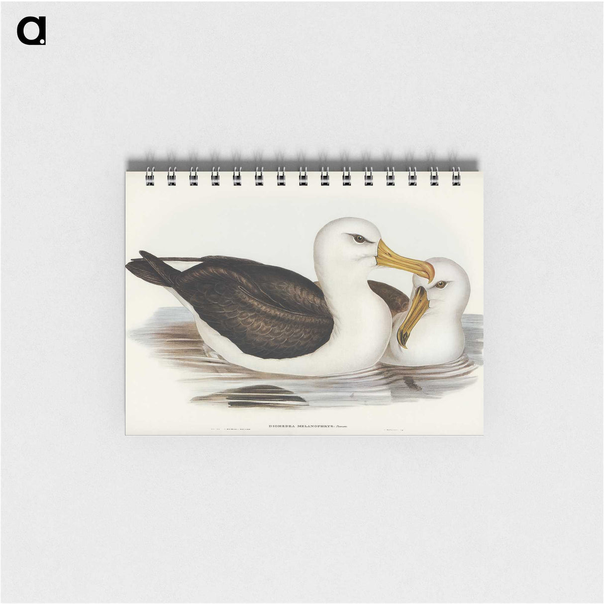 1-72_John-Gould_memo