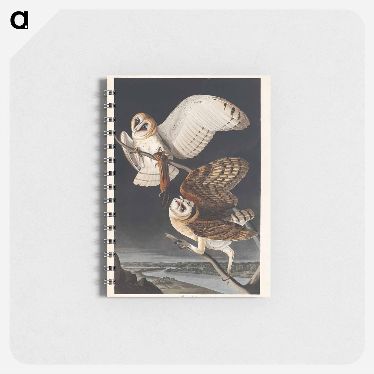 アートメモ帳-Barn Owl
- ジョン ジェームス オーデュボン Memo.
