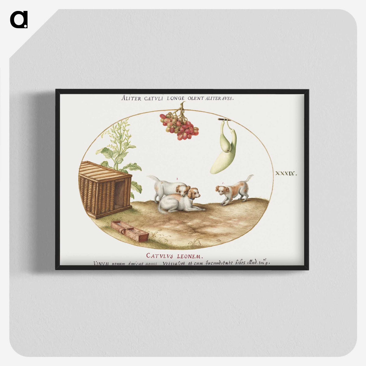 1-72_Joris-Hoefnagel_blk-crop