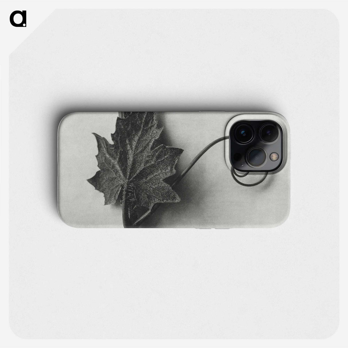 1-72_Karl-Blossfeldt_phone