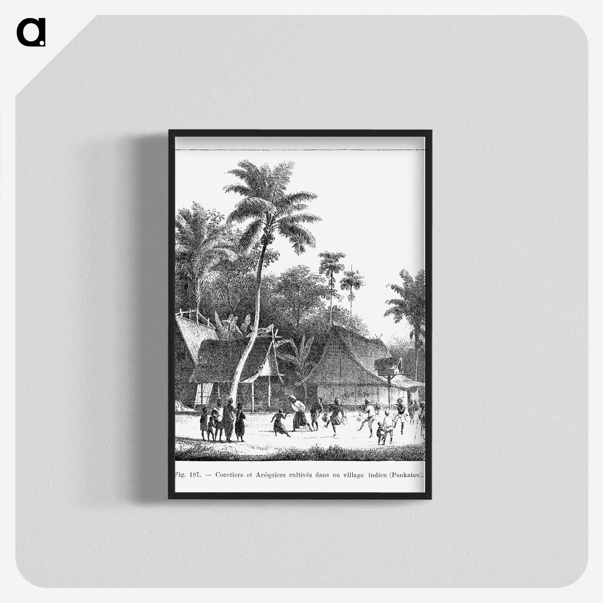 1-72_Les-Palmiers-Histoire-Iconographique_blk-crop