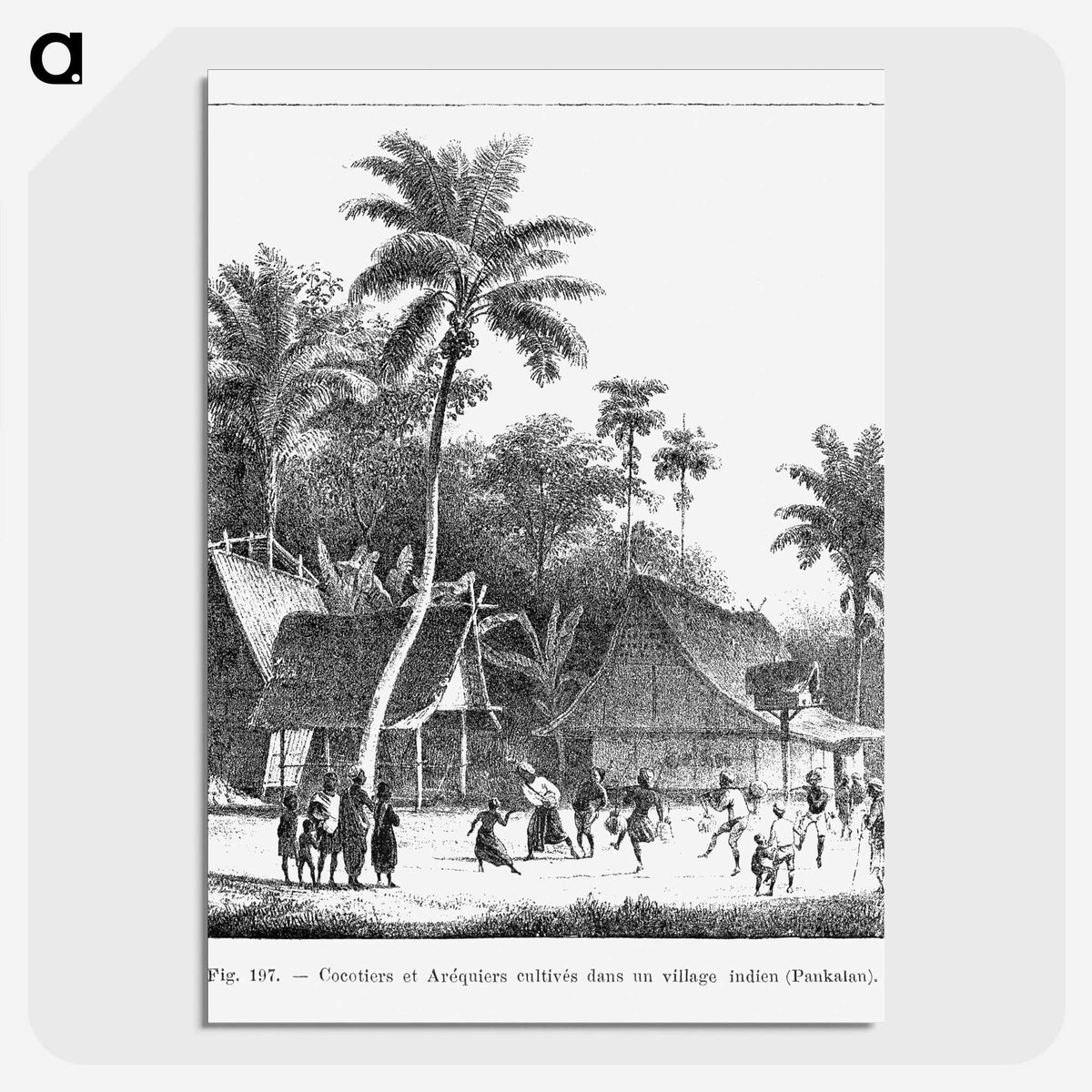 1-72_Les-Palmiers-Histoire-Iconographique_picture-crop