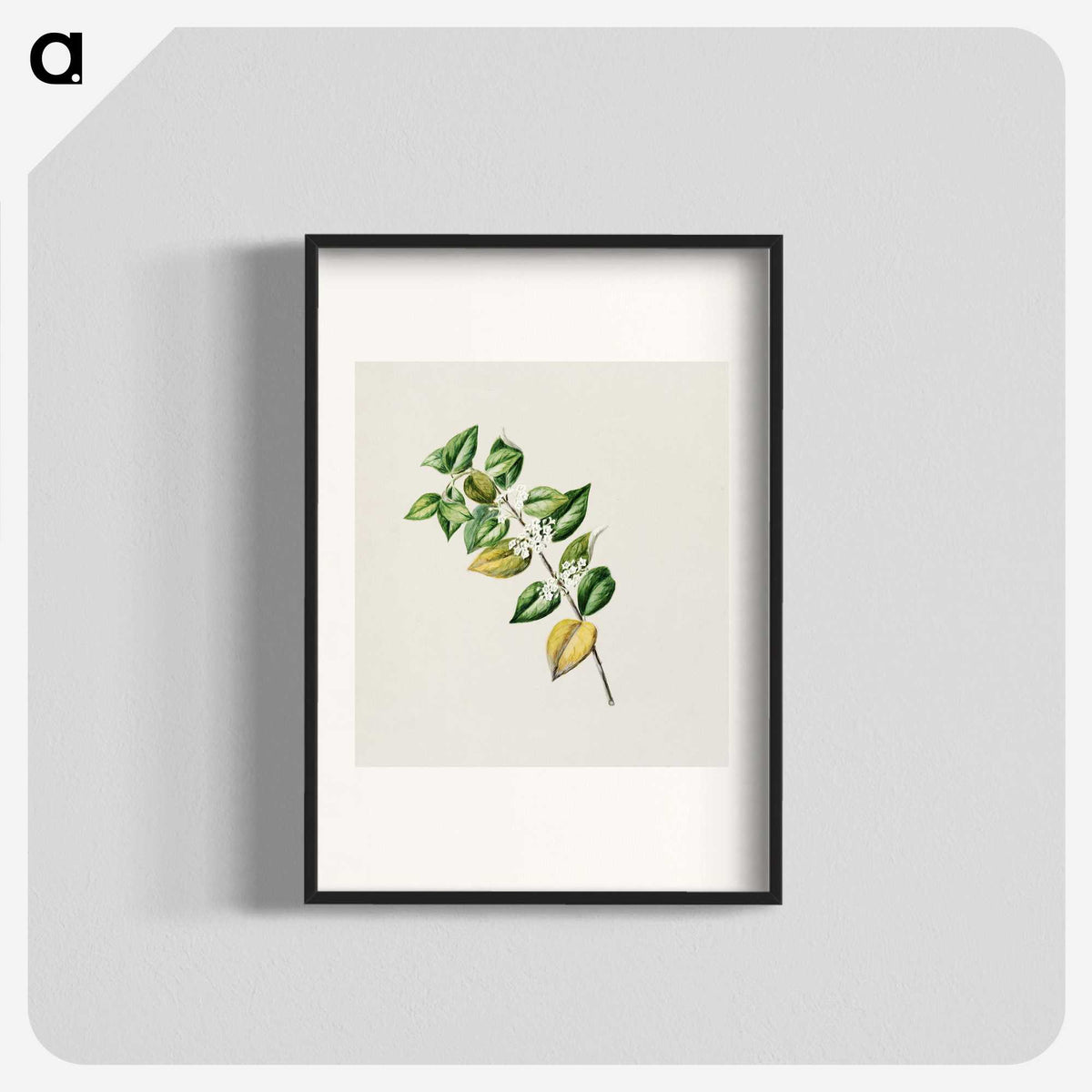 1-72_Native-Flowering-Plants-of-New-Zealand_blk