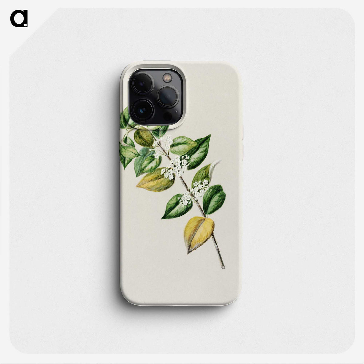 1-72_Native-Flowering-Plants-of-New-Zealand_phone