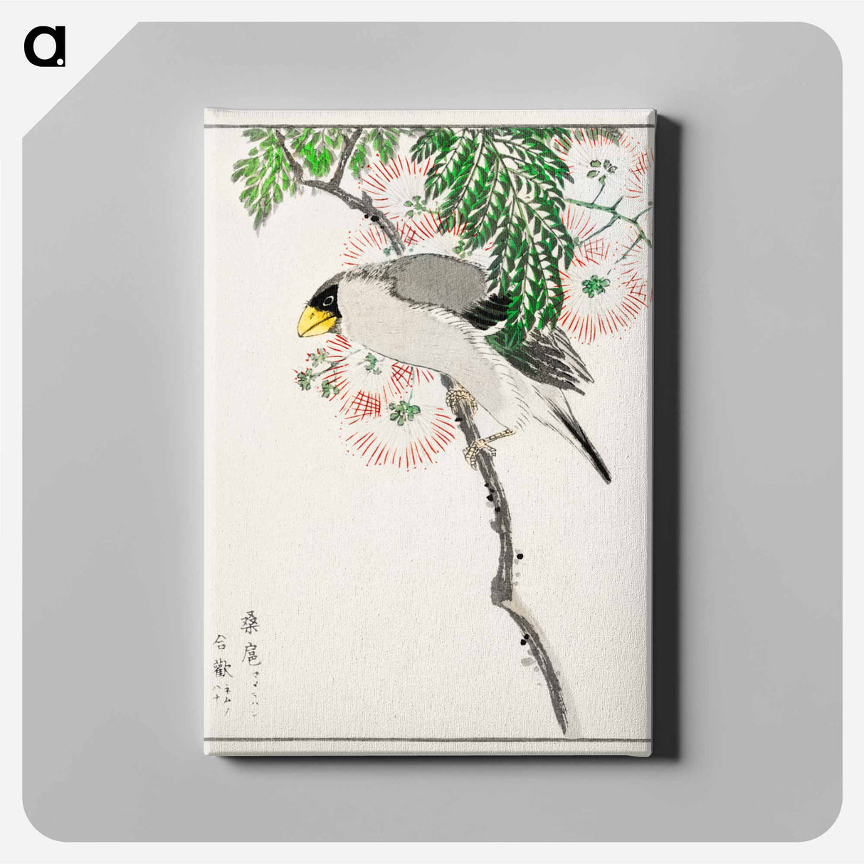 アートパネル-Japanese Masked Hawfinch and Silk Tree
- 鳥類図鑑 Canvas.
