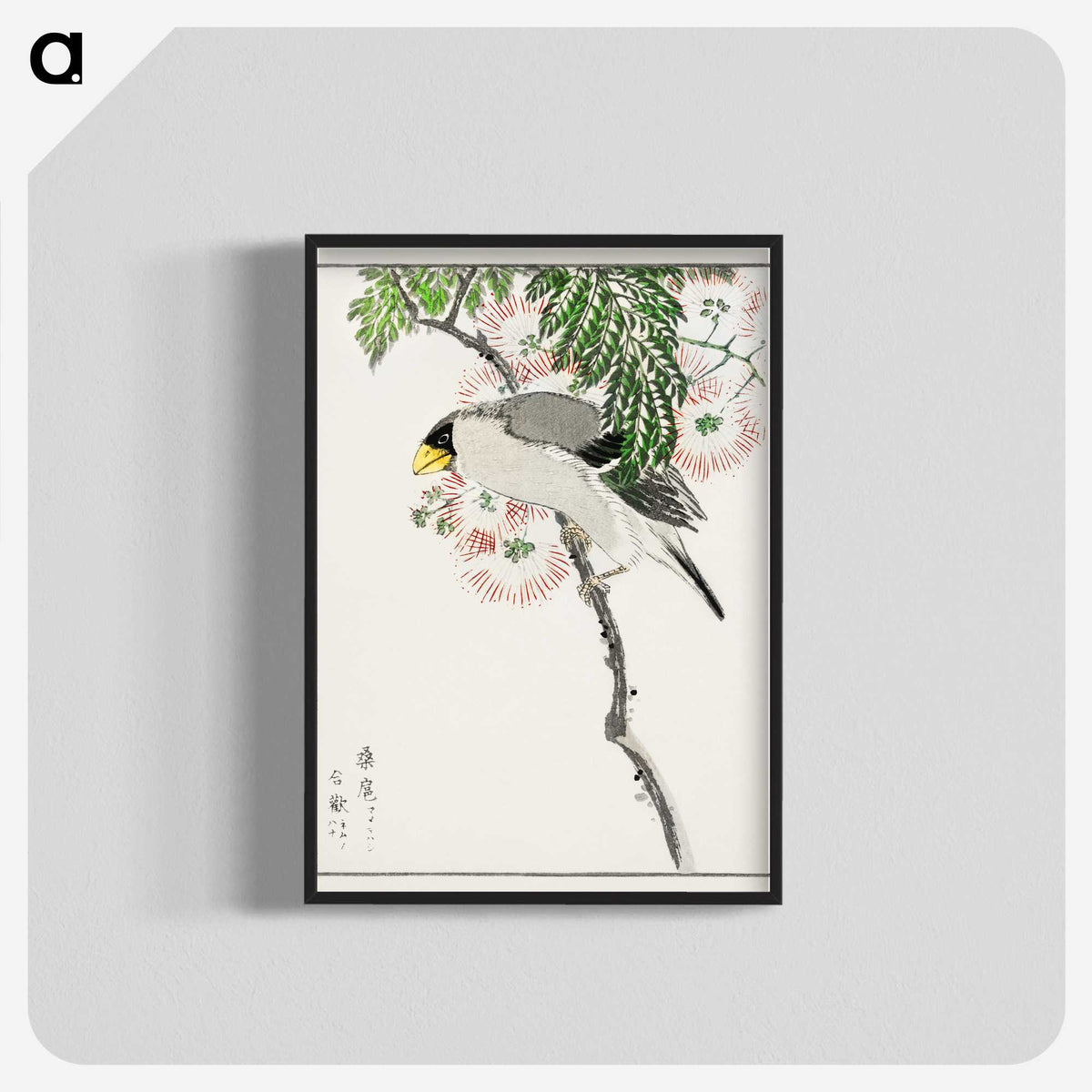 1-72_Pictorial-Monograph-of-Birds_blk-crop