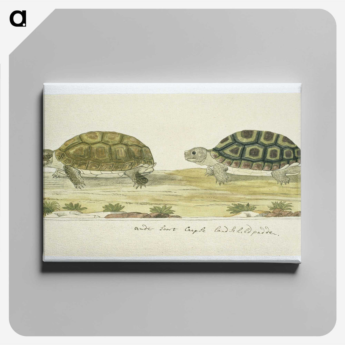 1-72_Robert-Jacob-Gordon_canvas