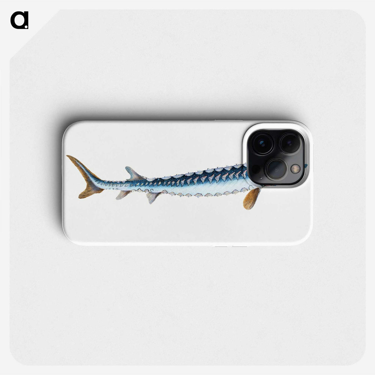 1-72_The-Natural-History-of-British-Fishes_phone