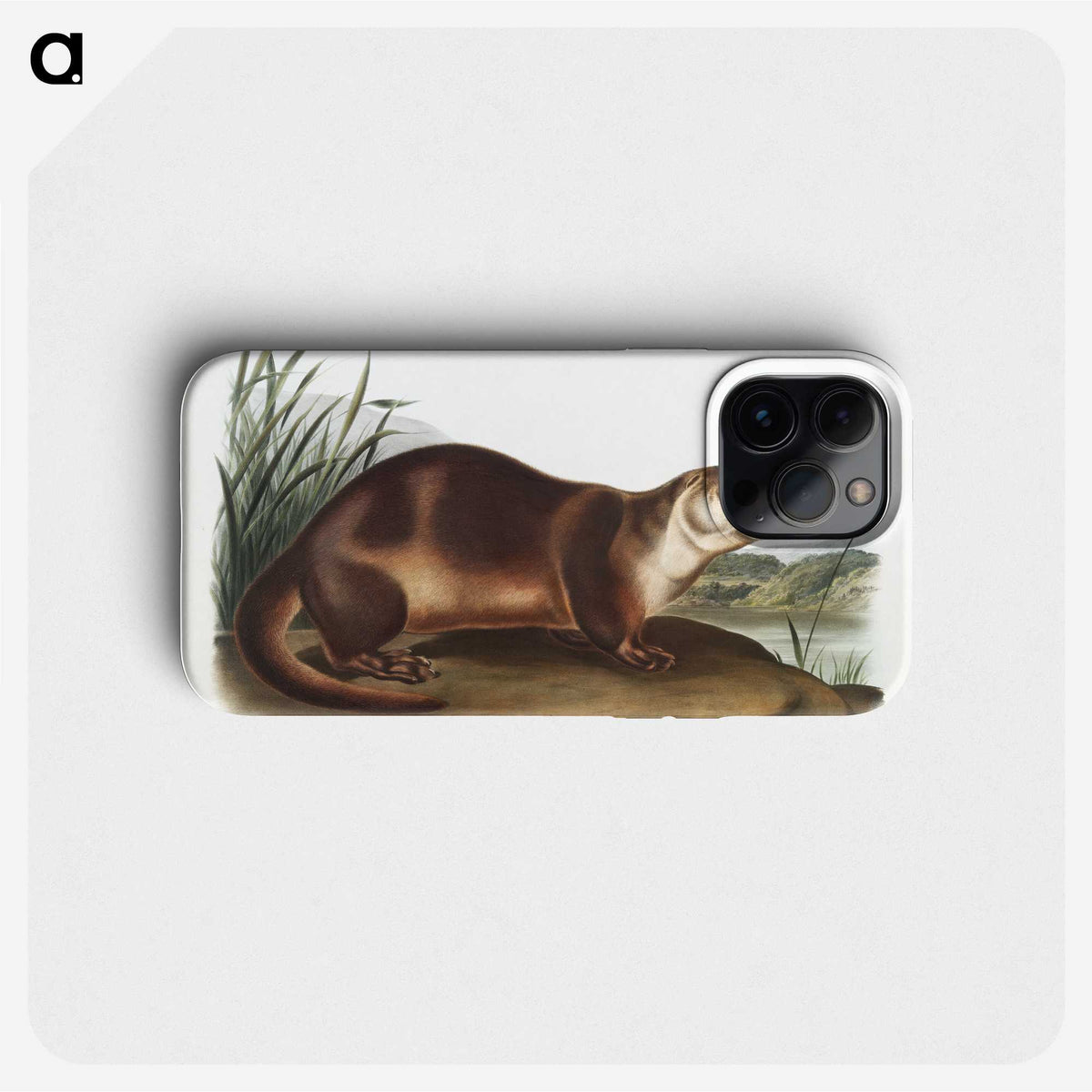 1-72_The-Viviparous-Quadrupeds_phone