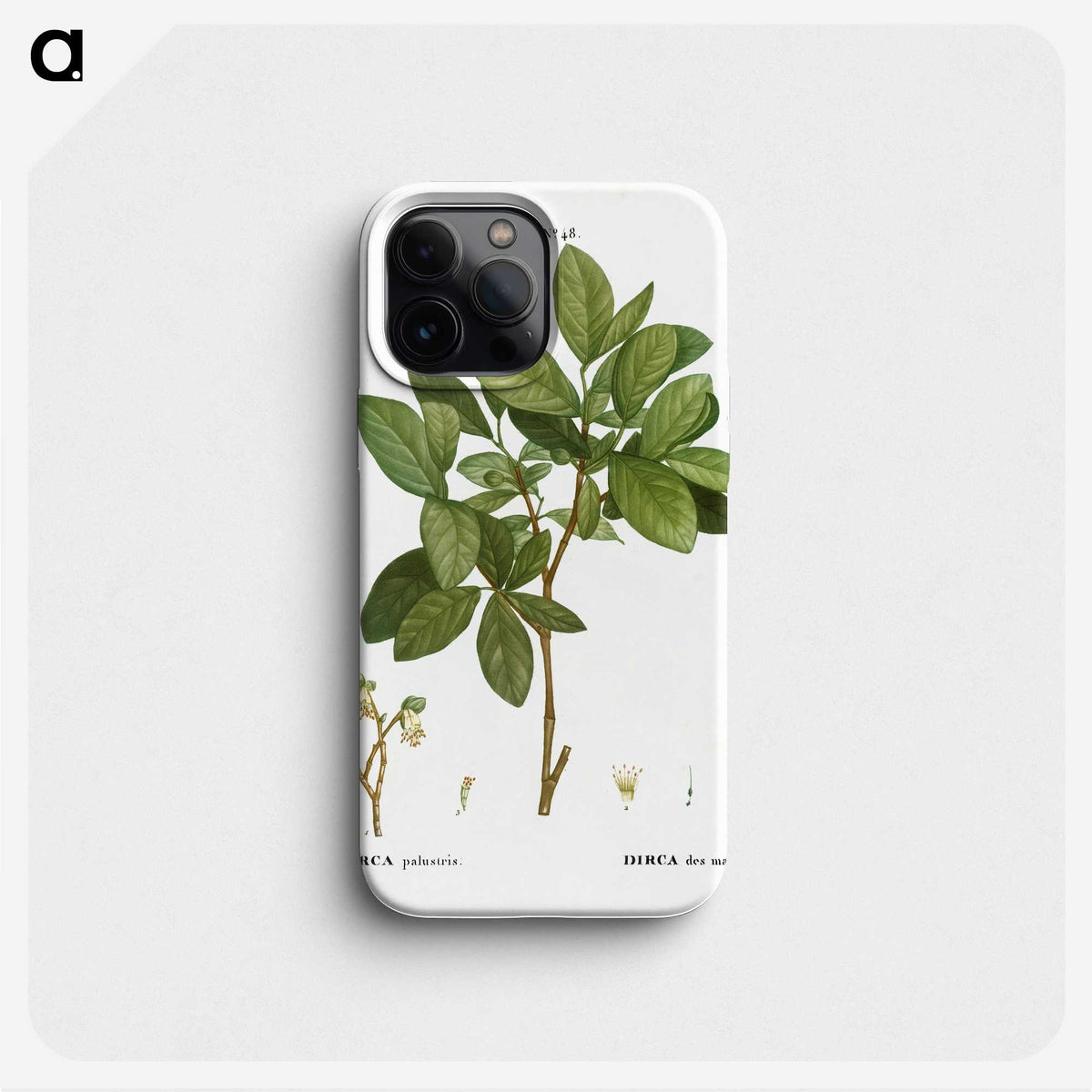 1-72_Treatise-on-Trees-and-Shrubs_phone