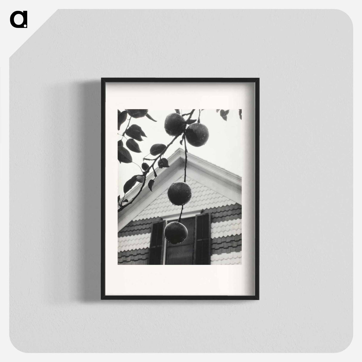 Gable and Apples - アルフレッド スティーグリッツ Poster.