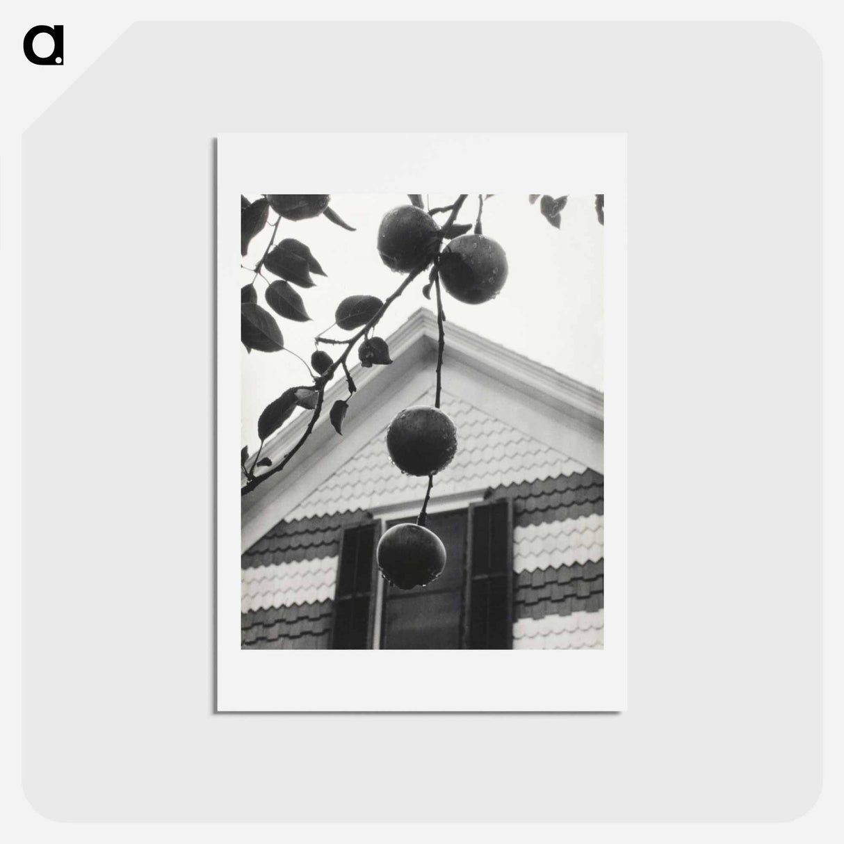 アートポストカード-Gable and Apples - アルフレッド スティーグリッツ Postcard.