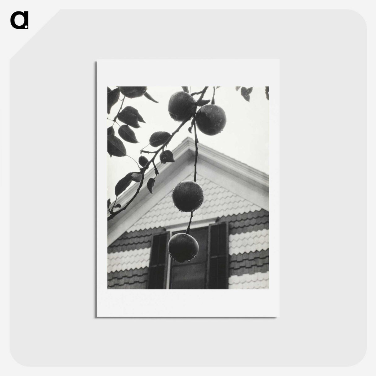 1-73_Alfred-Stieglitz_hagaki