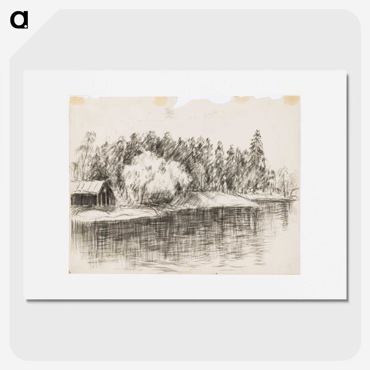1-73_Alfred-William-Finch_picture