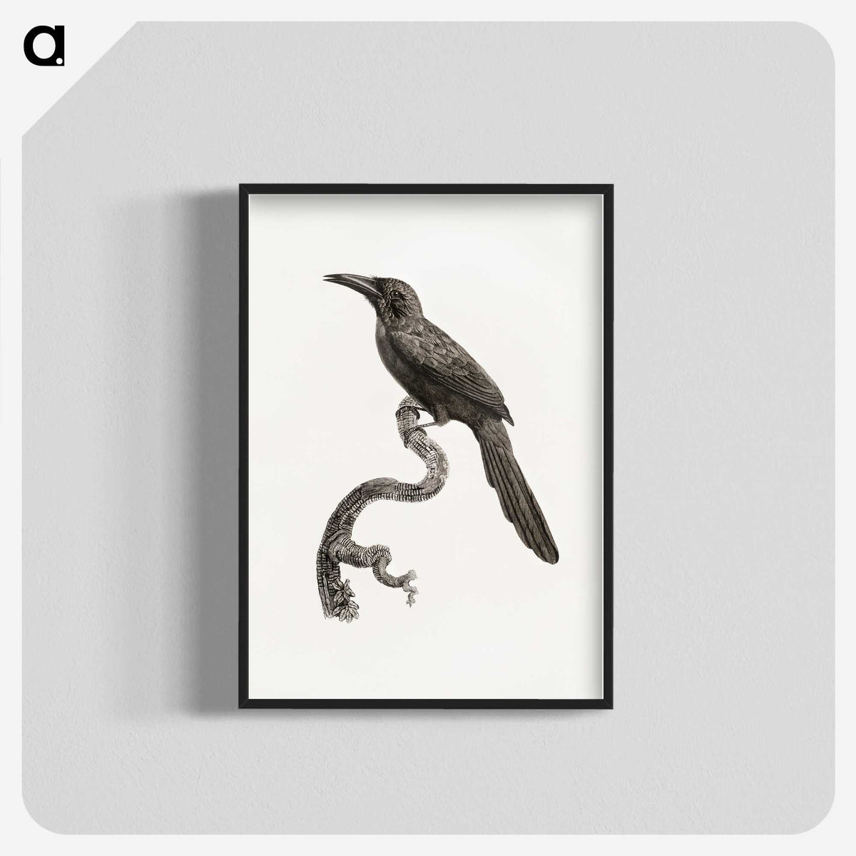 1-73_Des-Oiseaux-de-Paradis_blk-crop