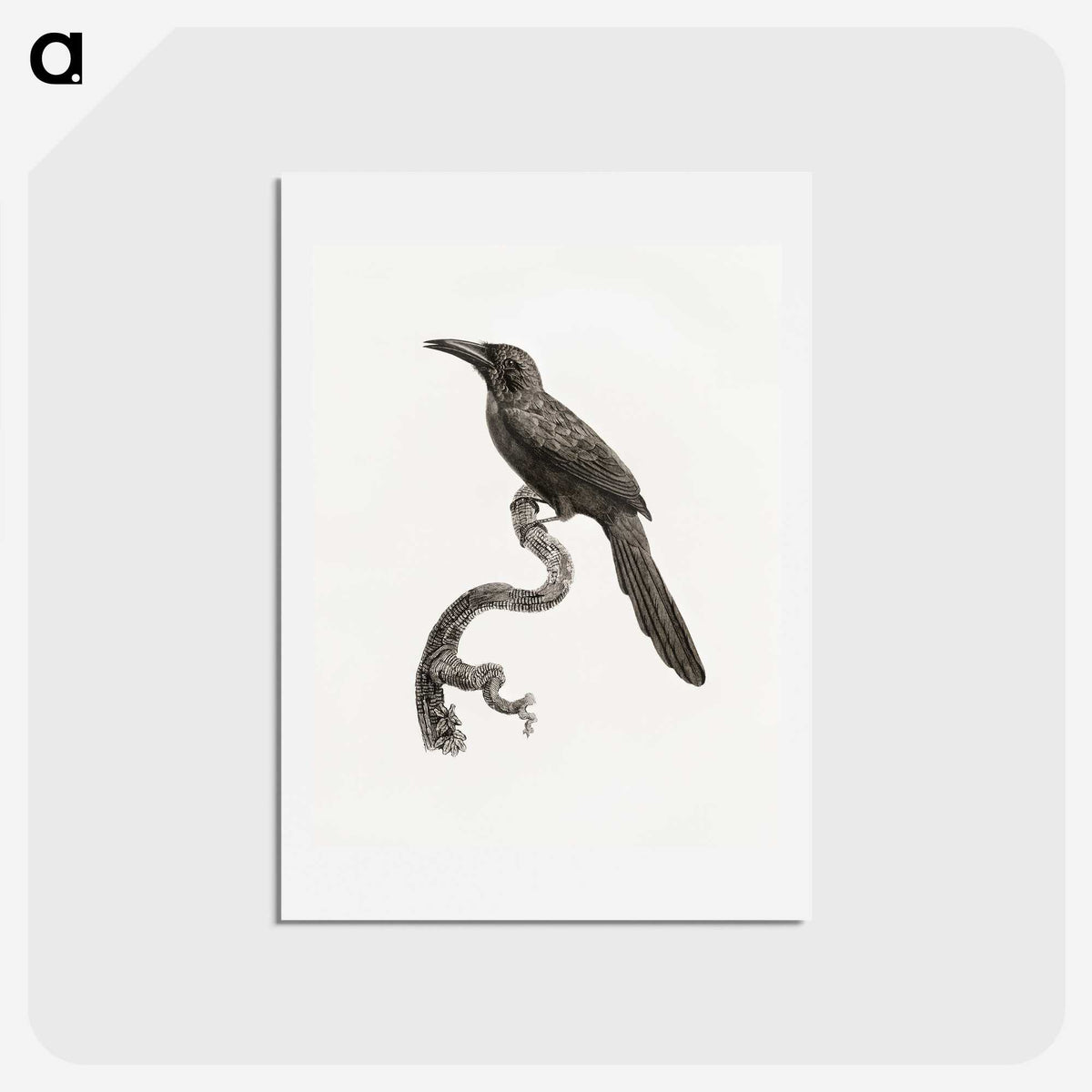 1-73_Des-Oiseaux-de-Paradis_hagaki