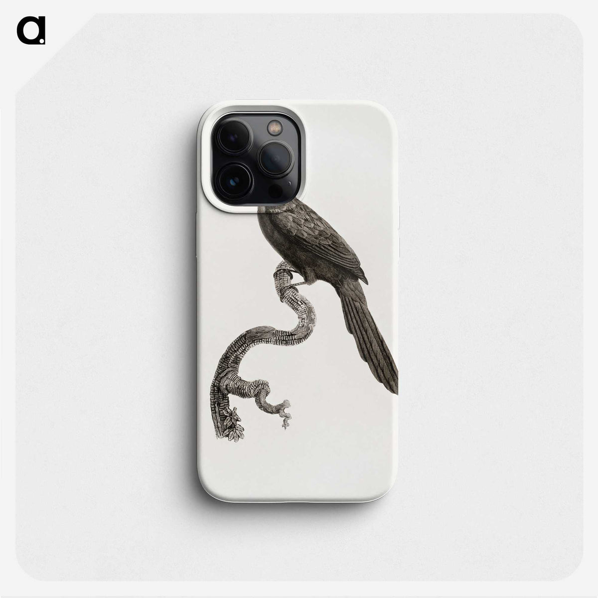 1-73_Des-Oiseaux-de-Paradis_phone