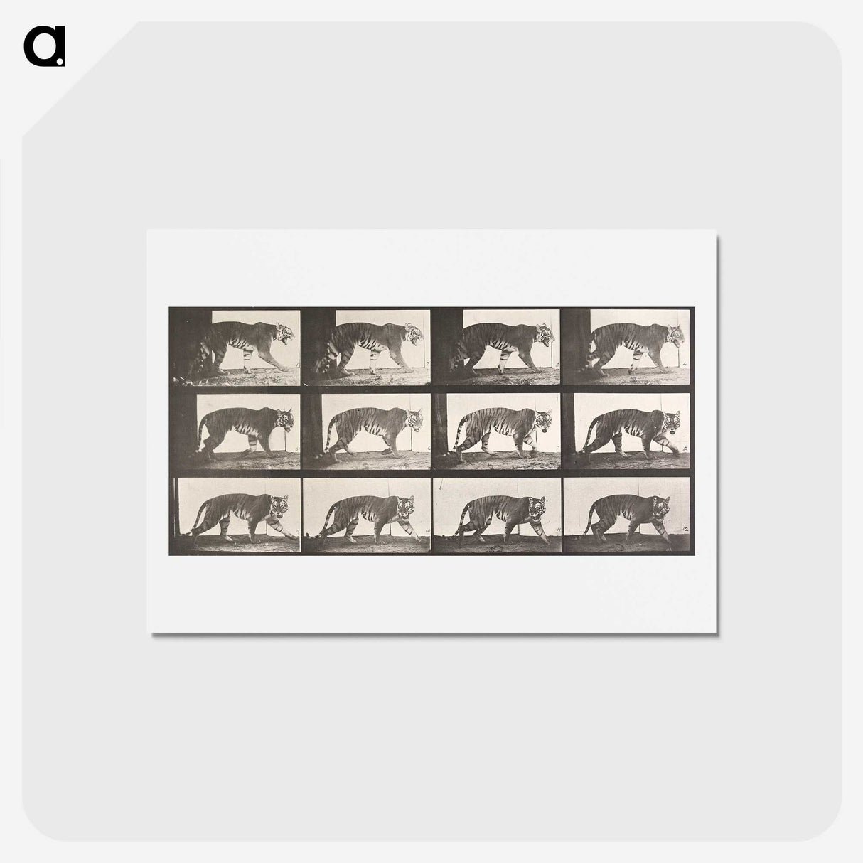 1-73_Eadweard-Muybridge_hagaki