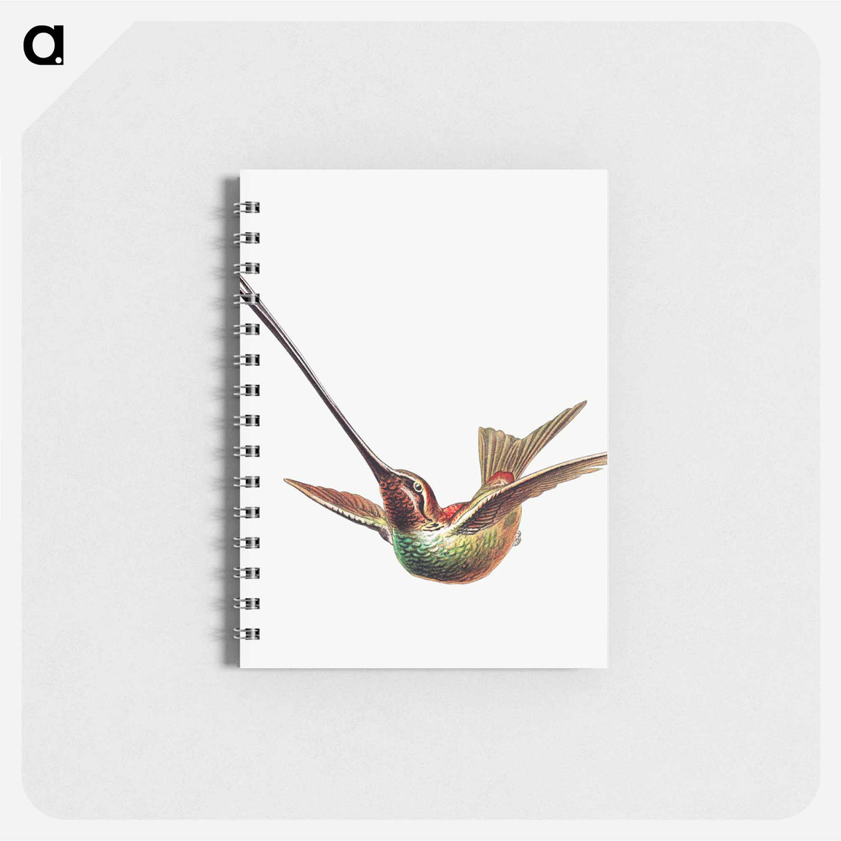 アートメモ帳-Colorful vintage hummingbird illustration - エルンスト ヘッケル Memo.