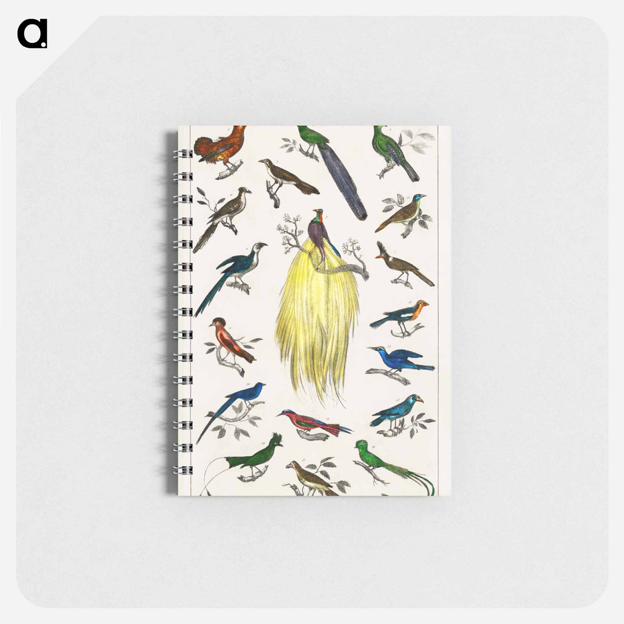 アートメモ帳-Birds from Animated Nature
- ゴールドスミスの生き生きとした自然 Memo.