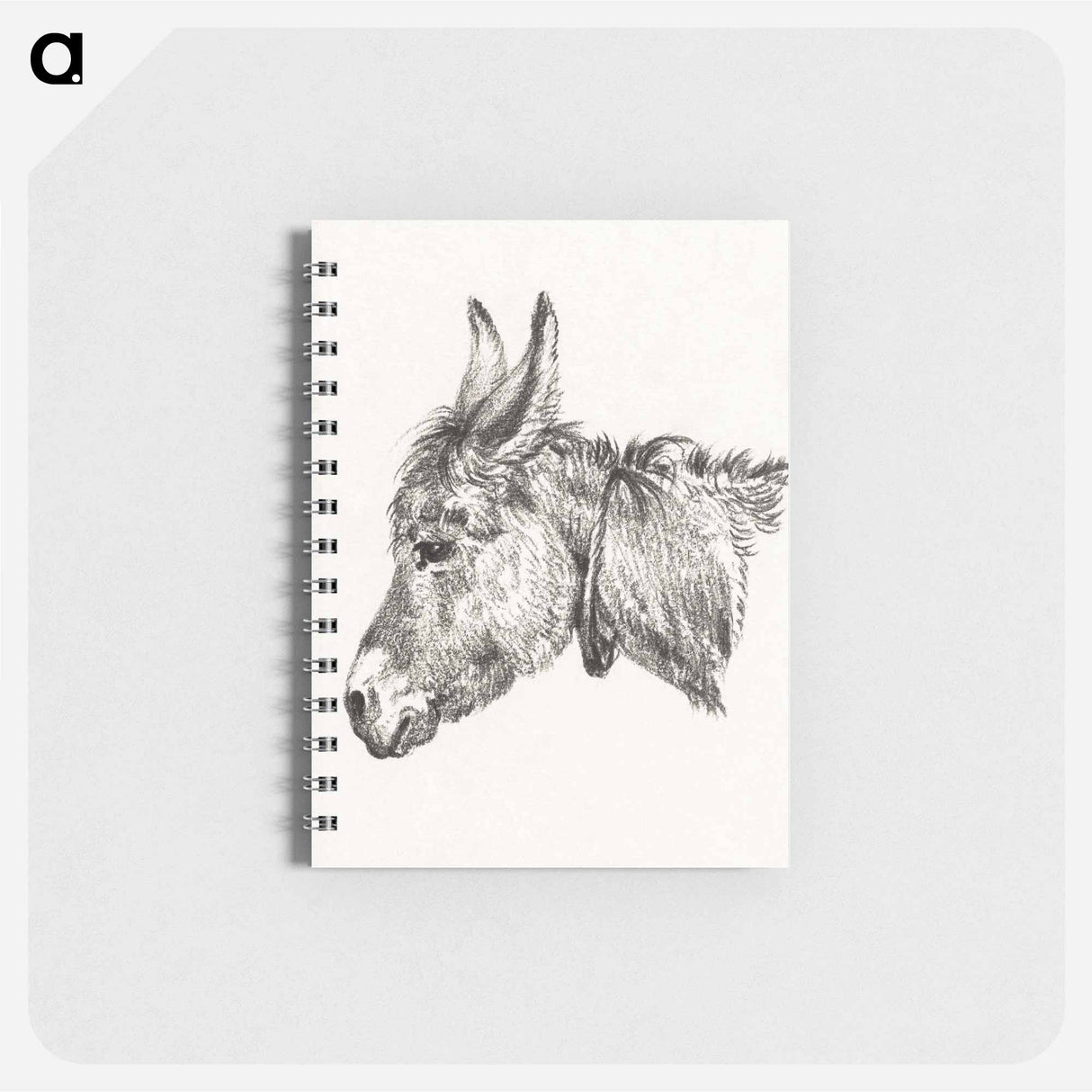 Head of a donkey - ジャン ベルナール Memo.