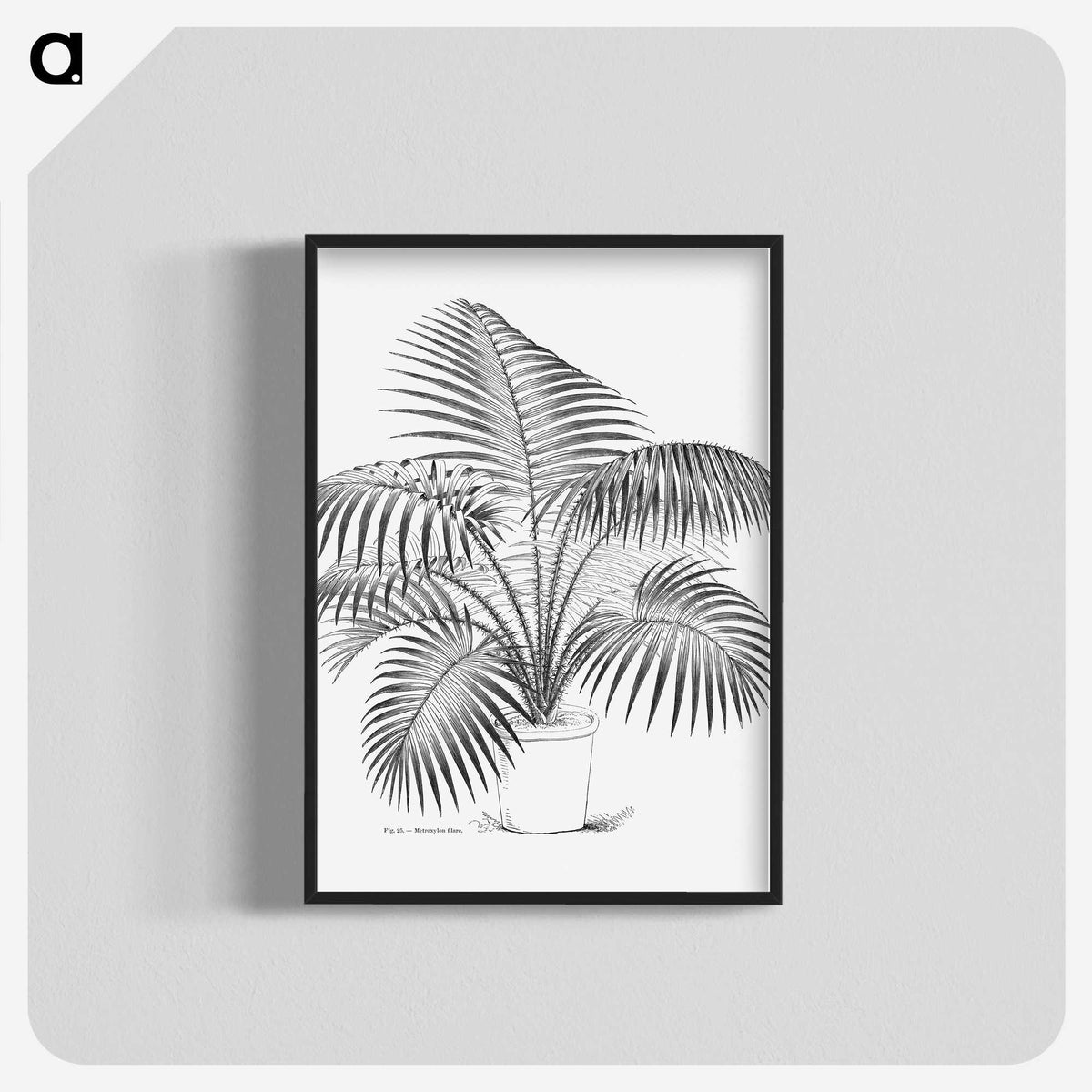 1-73_Les-Palmiers-Histoire-Iconographique_blk-crop
