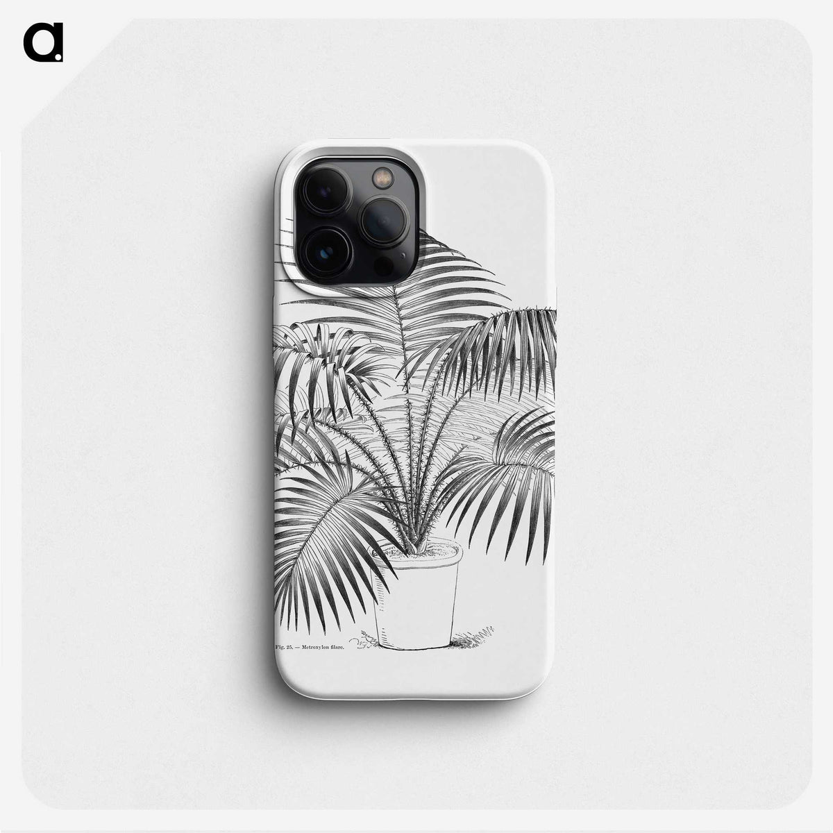 1-73_Les-Palmiers-Histoire-Iconographique_phone