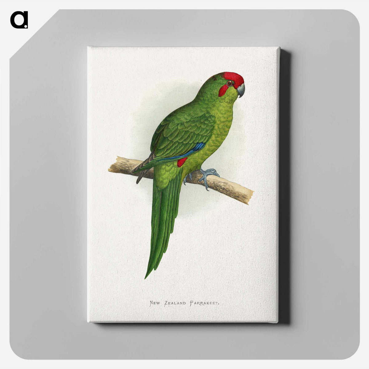 1-73_Parrots-in-Captivity_canvas