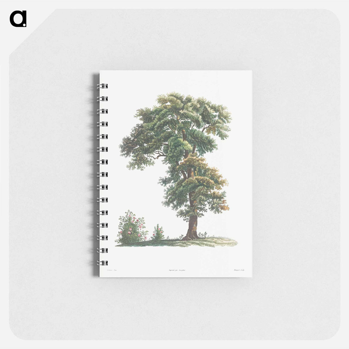 アートメモ帳-Tree - ピエール ジョゼフ ルドゥーテ Memo.