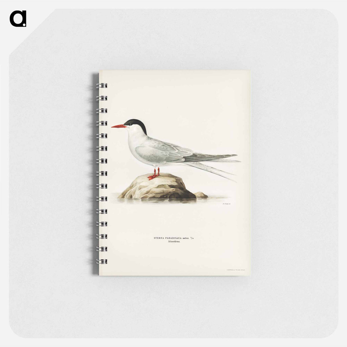 アートメモ帳-Arctic Tern
- スヴェンスカ フォグラル Memo.