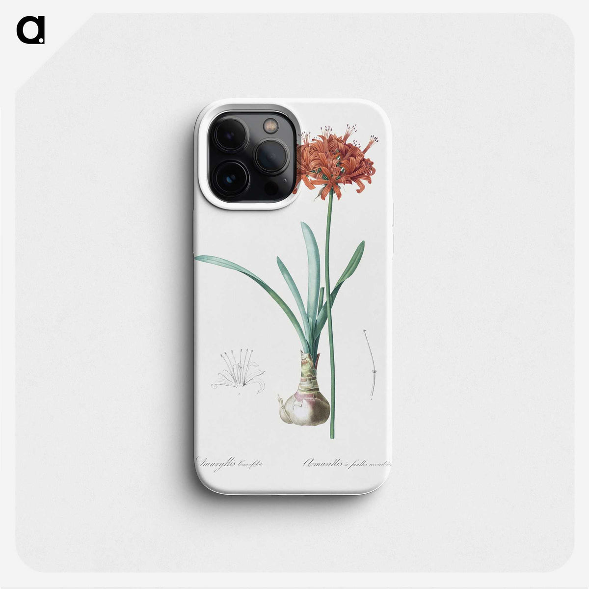 1-73_The-Lilies_phone