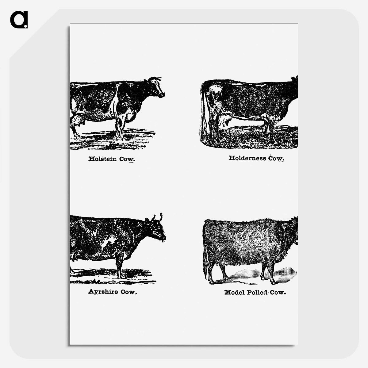 1-73_The-Open-Door-to-Independence_picture-crop