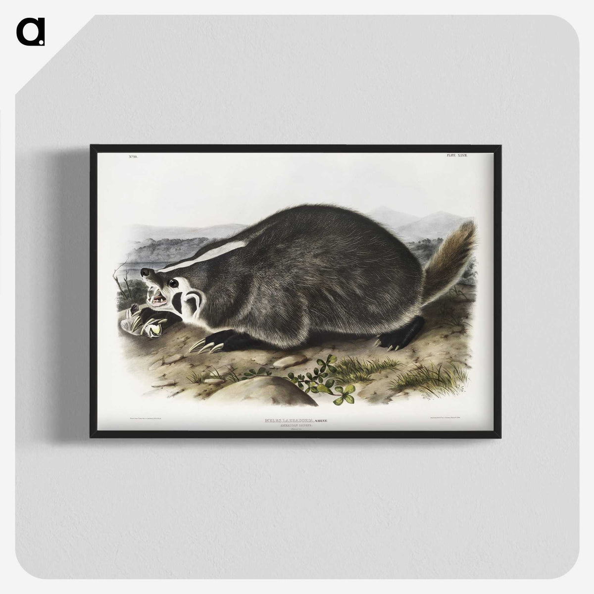 1-73_The-Viviparous-Quadrupeds_blk-crop