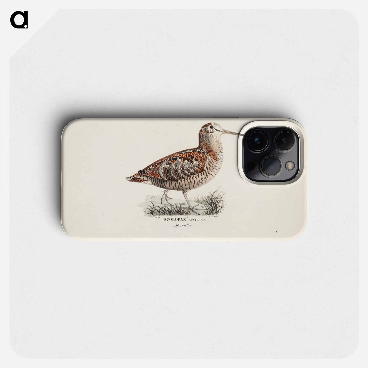 Eurasian woodcock - Wilhelm von Wright Phone Case.