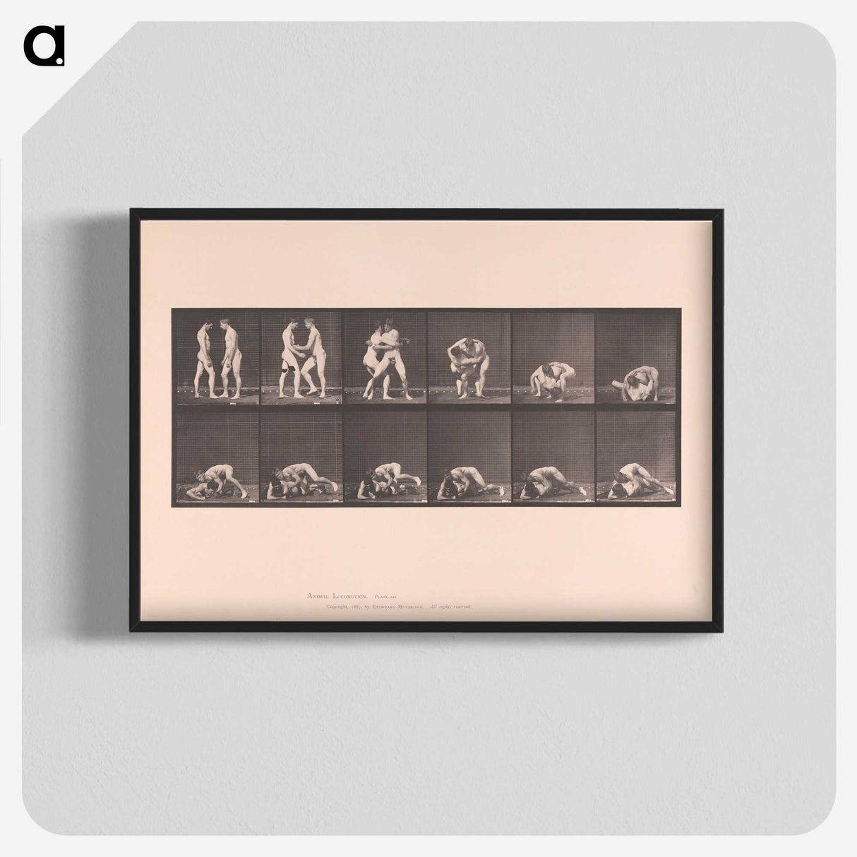 1-74_Eadweard-Muybridge_blk-crop