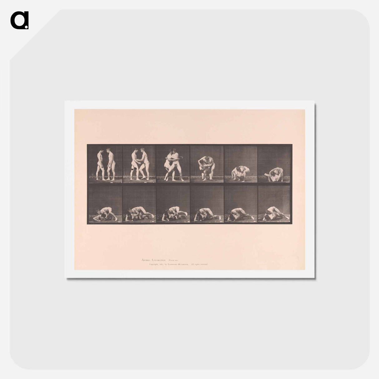 アートポストカード-Wrestling Figures
- エドワード マイブリッジ Postcard.