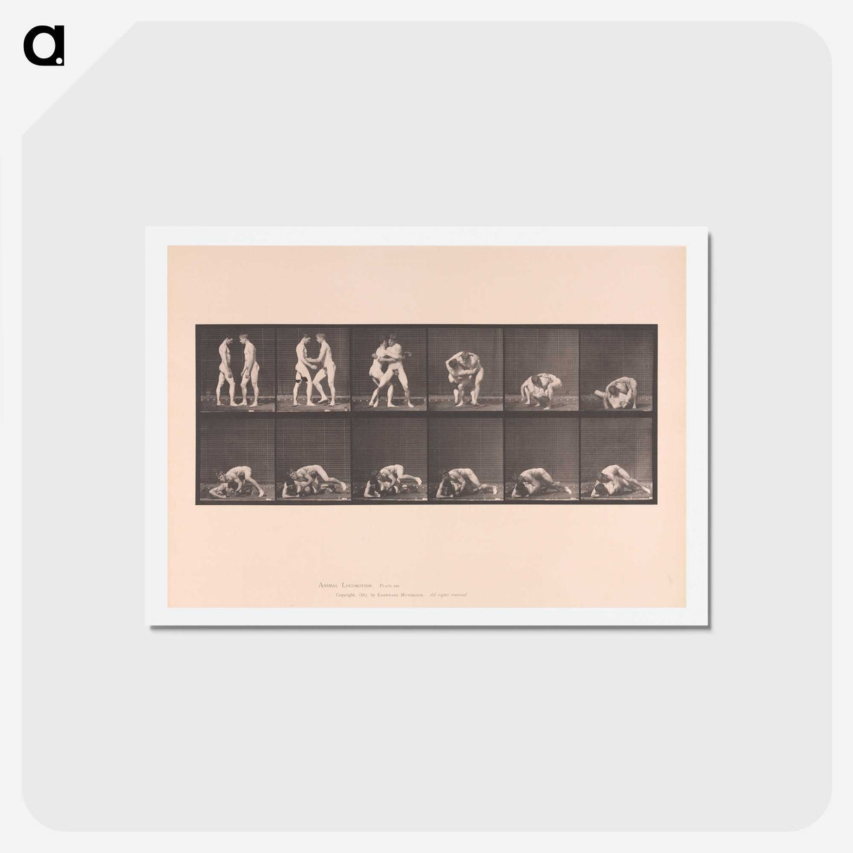1-74_Eadweard-Muybridge_hagaki