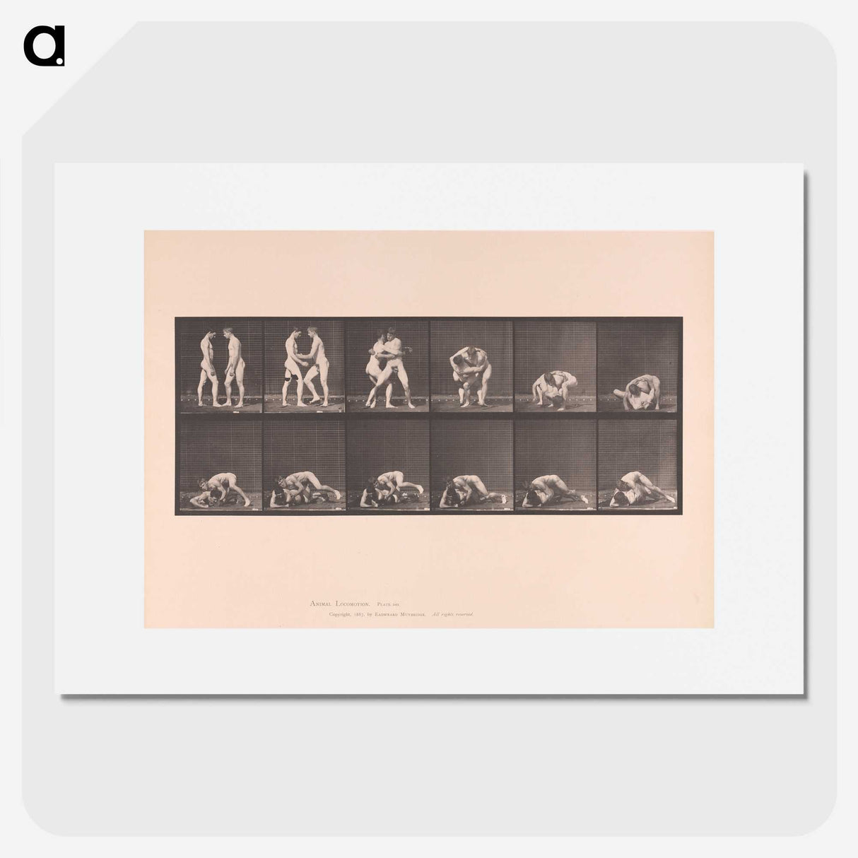 1-74_Eadweard-Muybridge_picture