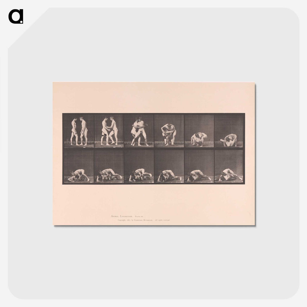 1-74_Eadweard-Muybridge_postcard