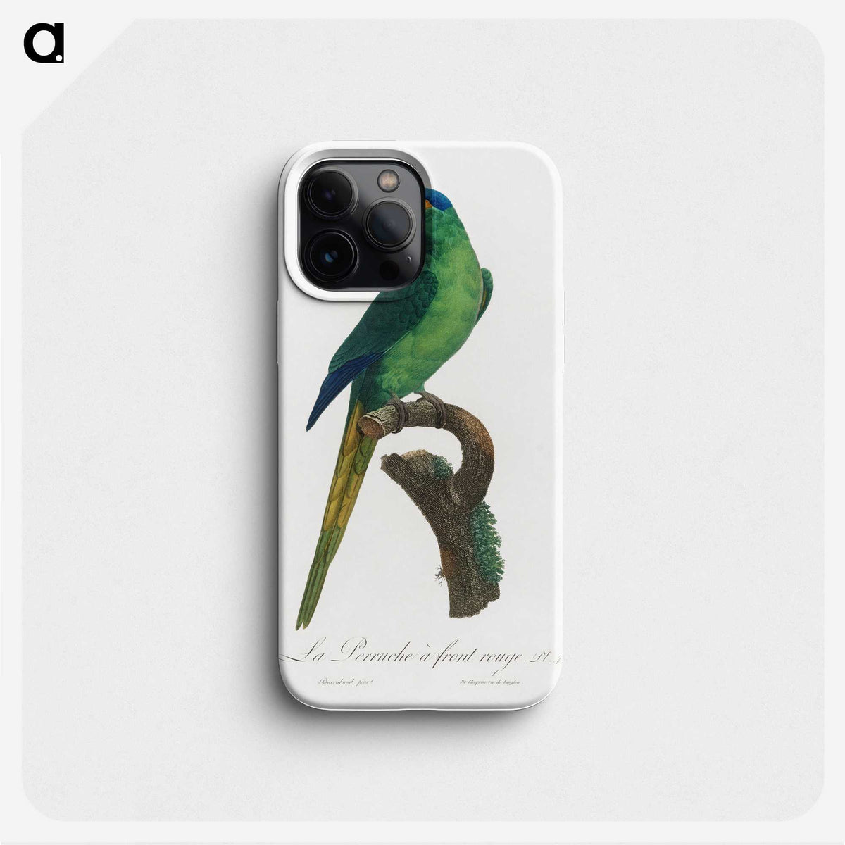 1-74_Francois-Levaillant_phone