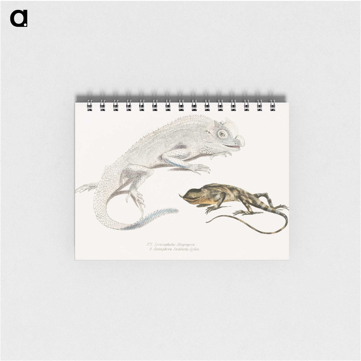 1-74_Indian-Zoology_memo