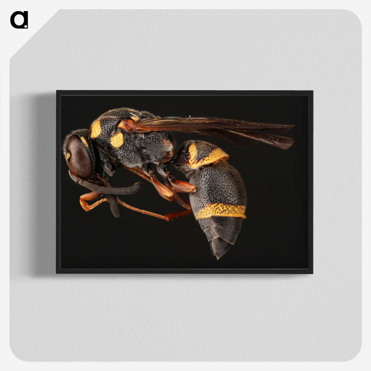 1-74_Insects-Unlocked-Project_blk-crop