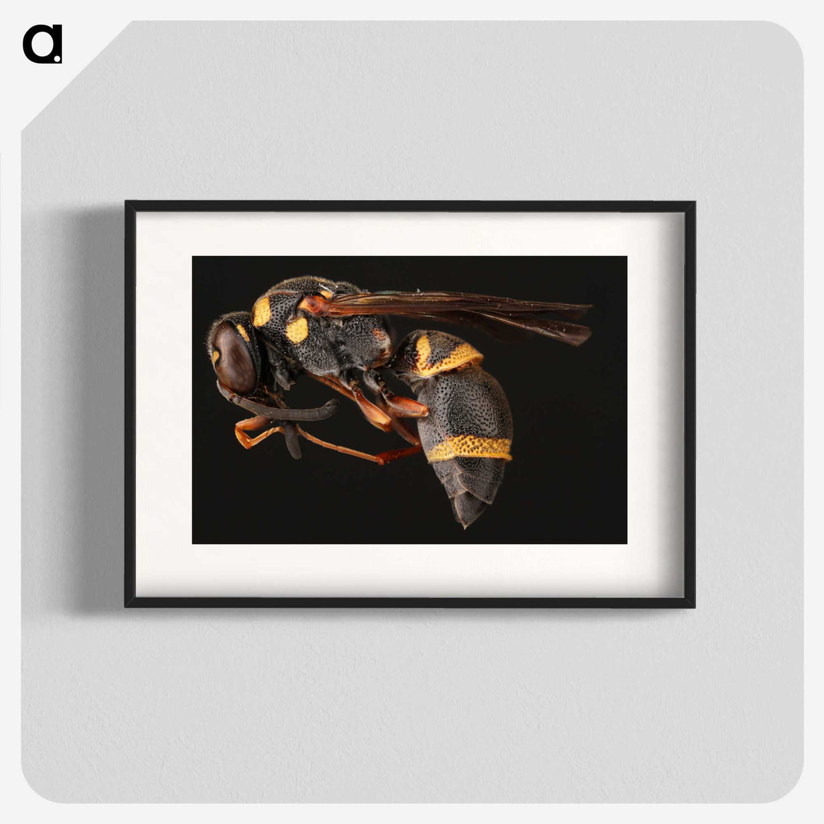 1-74_Insects-Unlocked-Project_blk