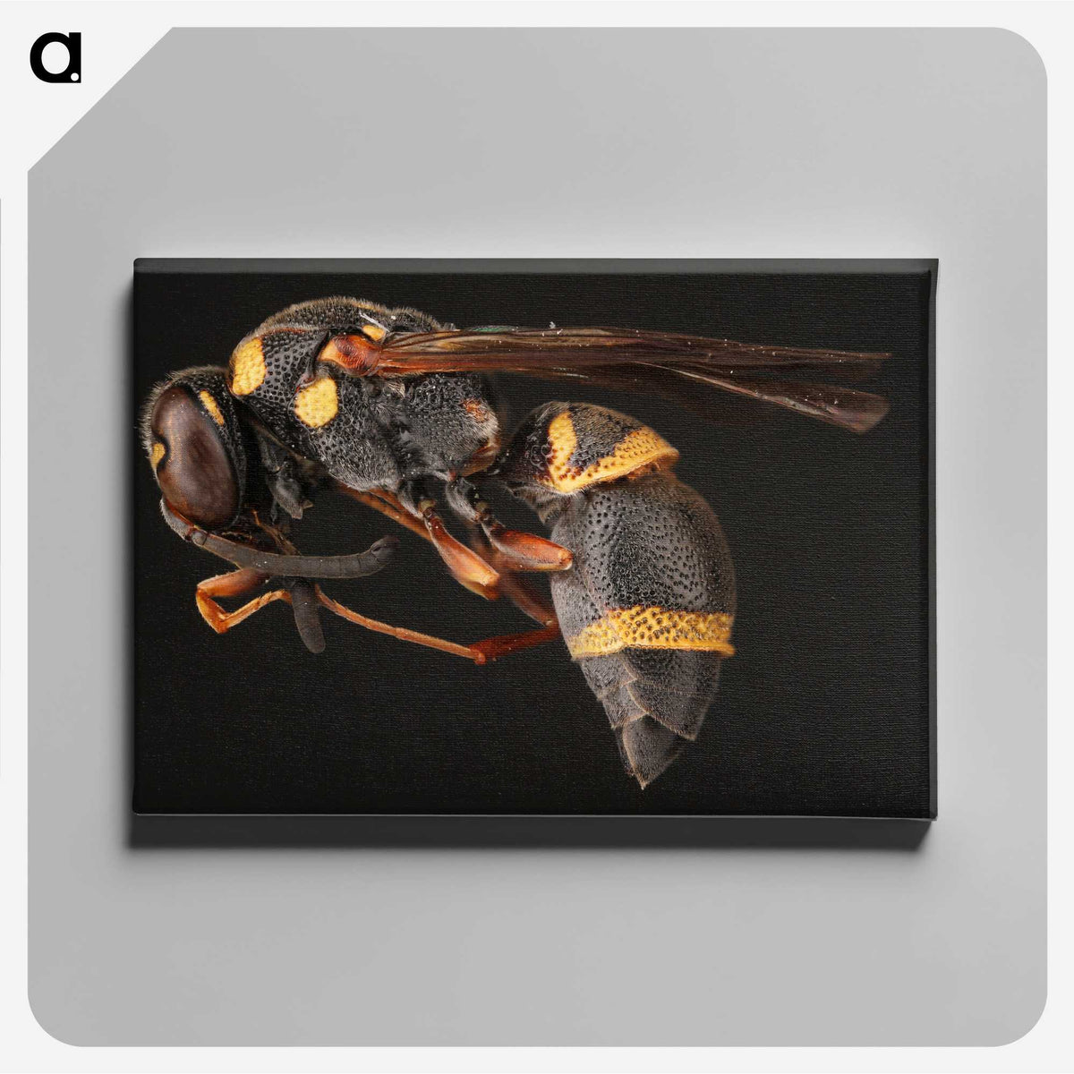 1-74_Insects-Unlocked-Project_canvas