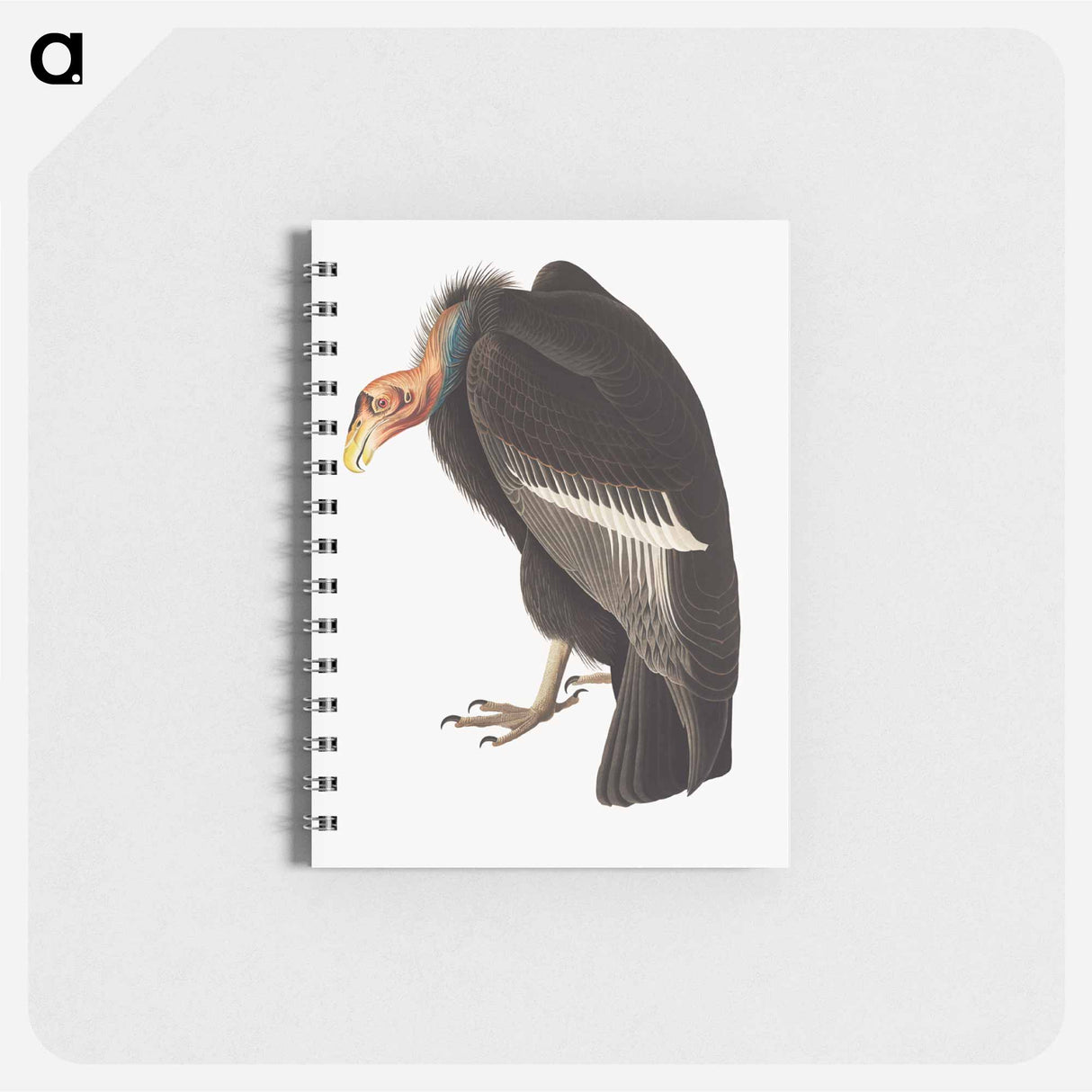 アートメモ帳-Californian Vulture
- ジョン ジェームス オーデュボン Memo.