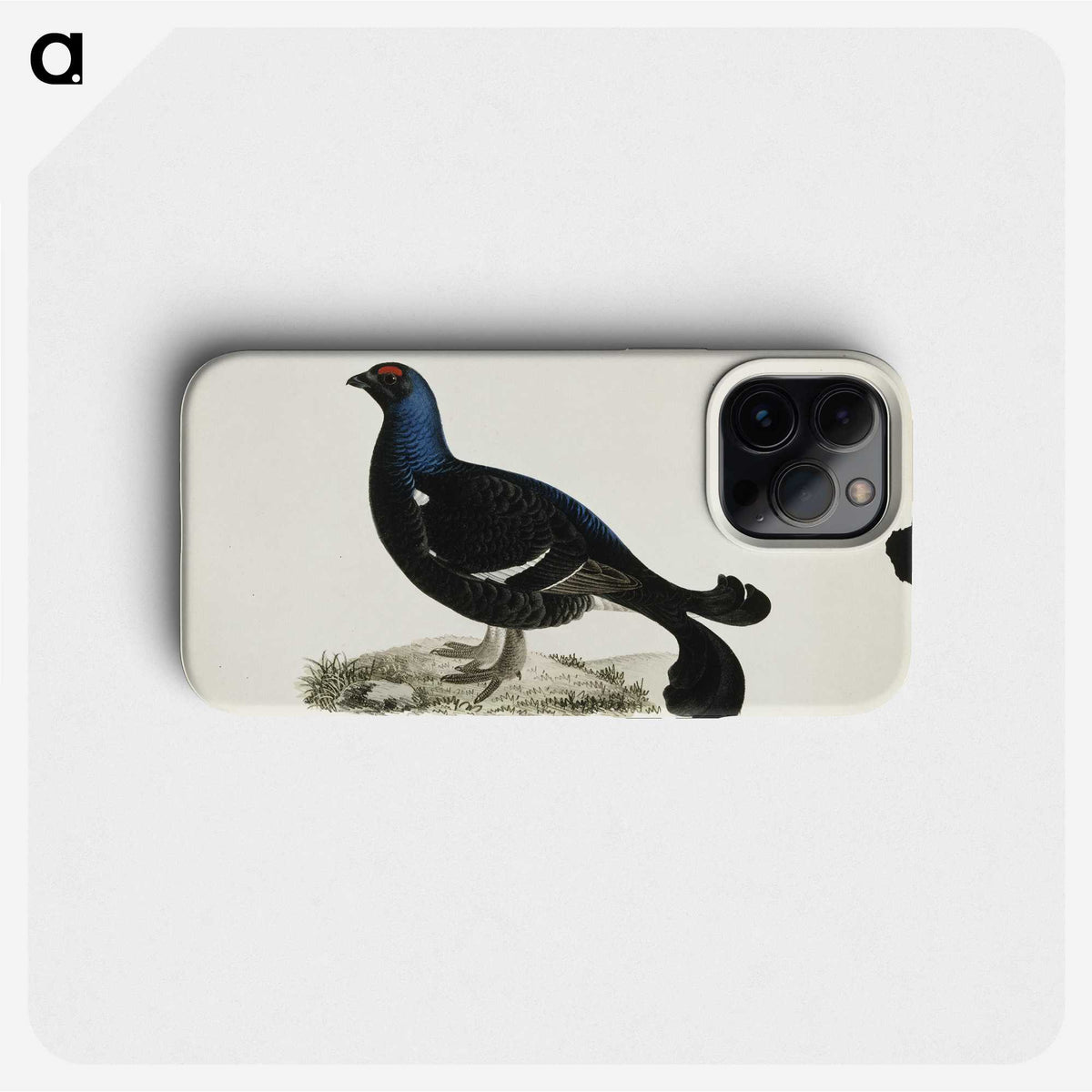 1-74_Magnus-von-Wright_phone