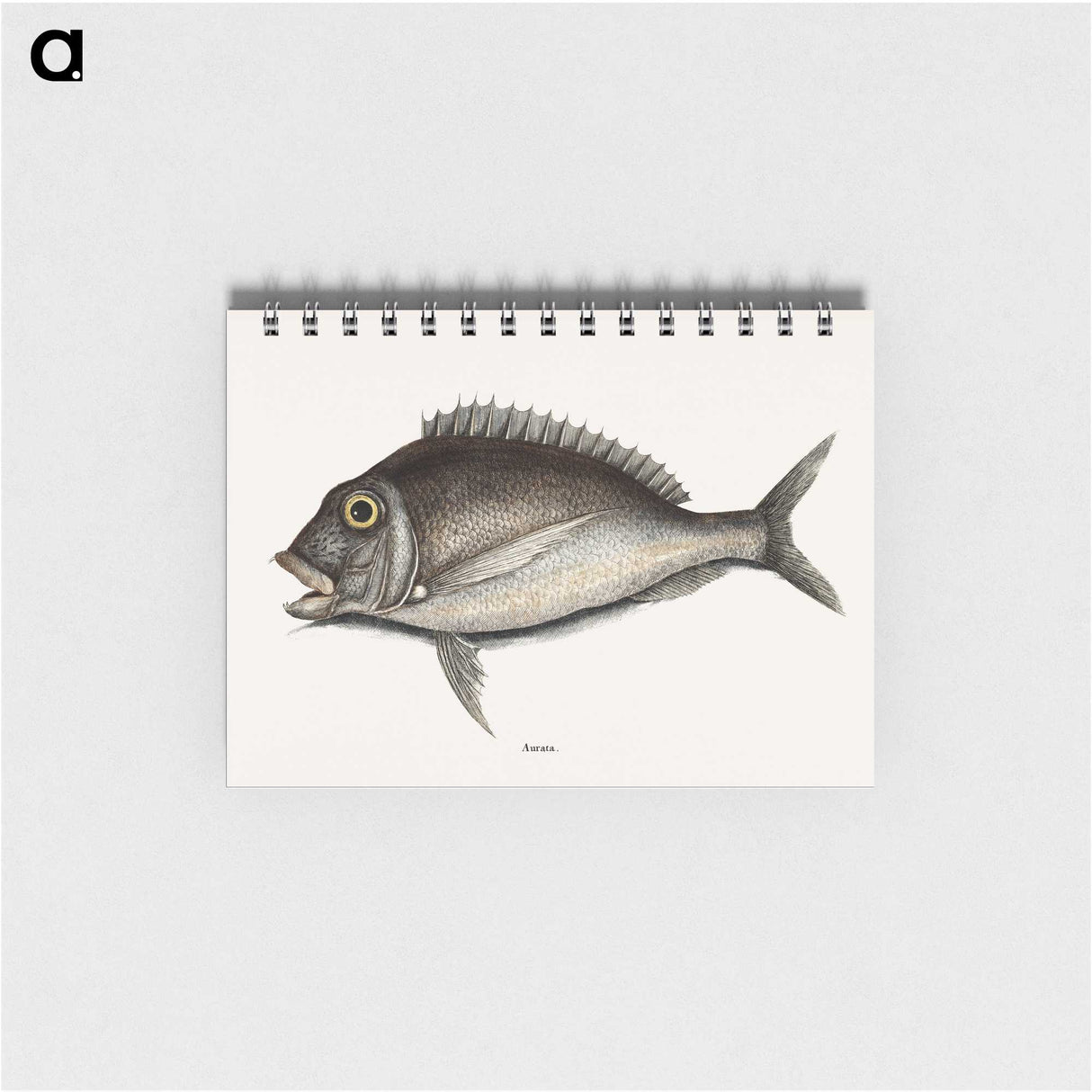 1-74_Mark-Catesby_memo