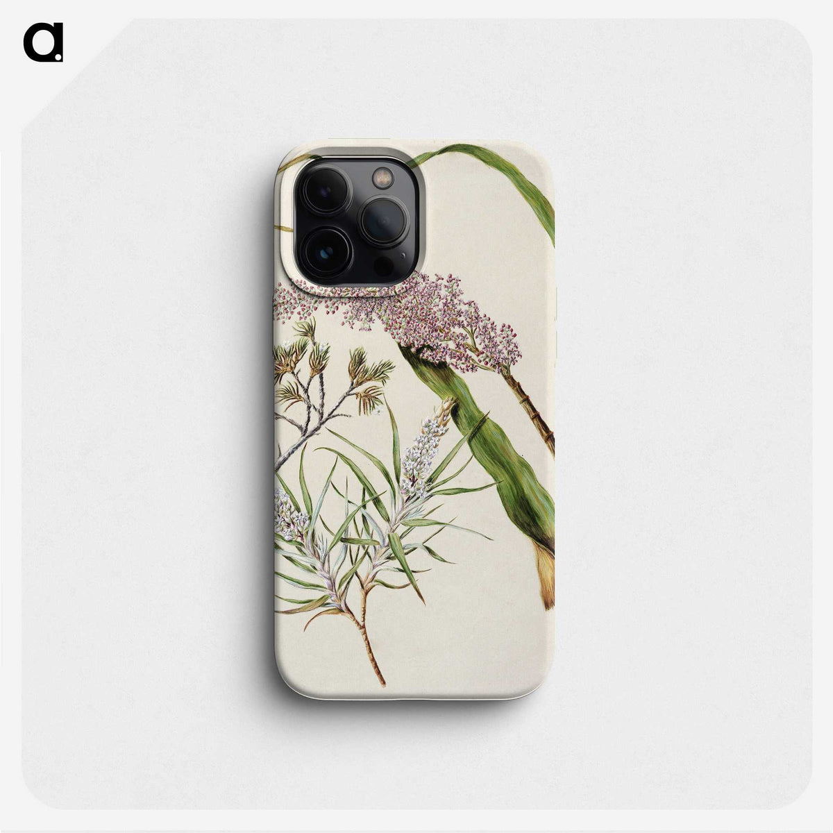1-74_Native-Flowering-Plants-of-New-Zealand_phone