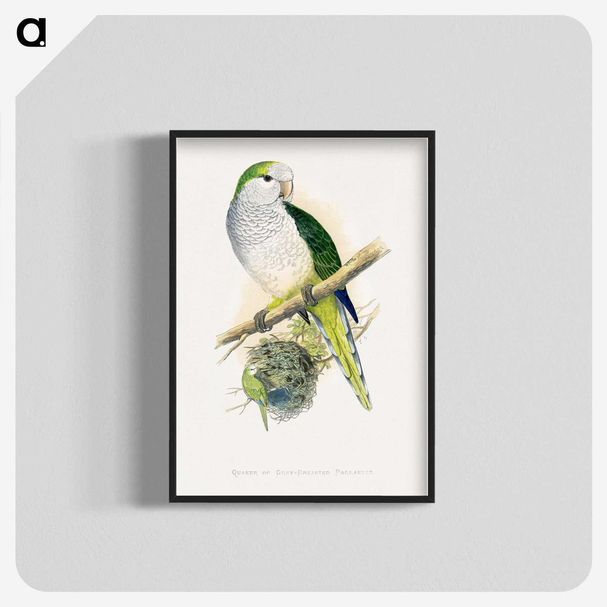 1-74_Parrots-in-Captivity_blk-crop