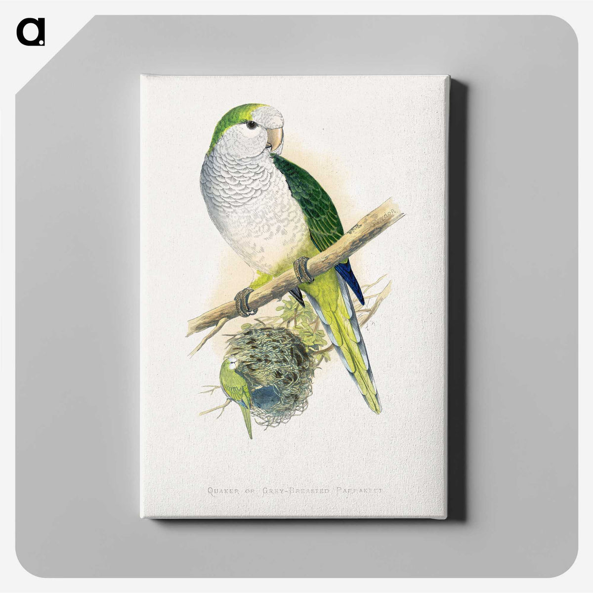 1-74_Parrots-in-Captivity_canvas
